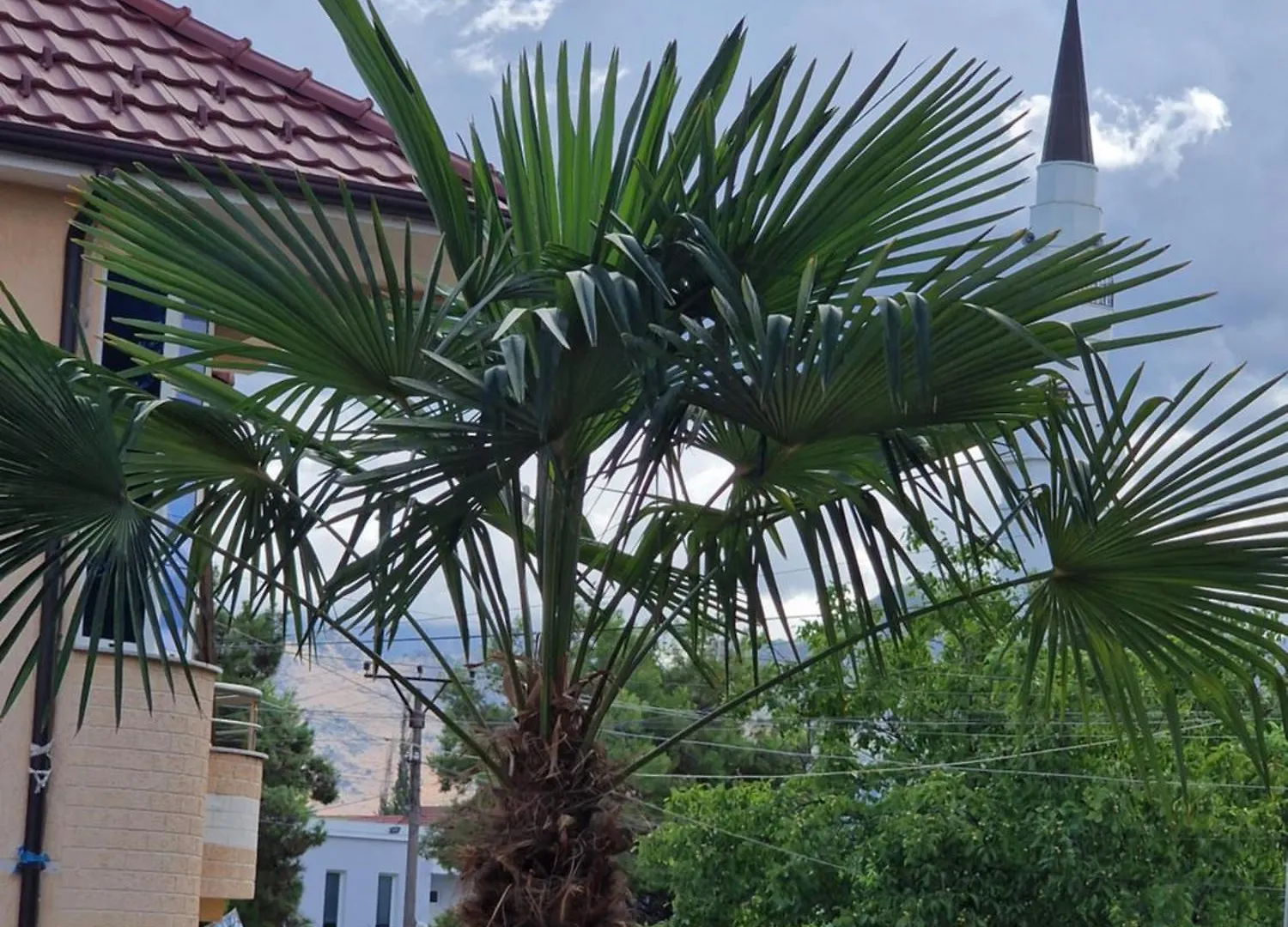 The Koplik Guesthouse